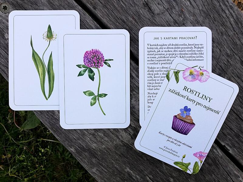 příroda do kapsy karty rostliny zážitkové karty pro nejmenší 1