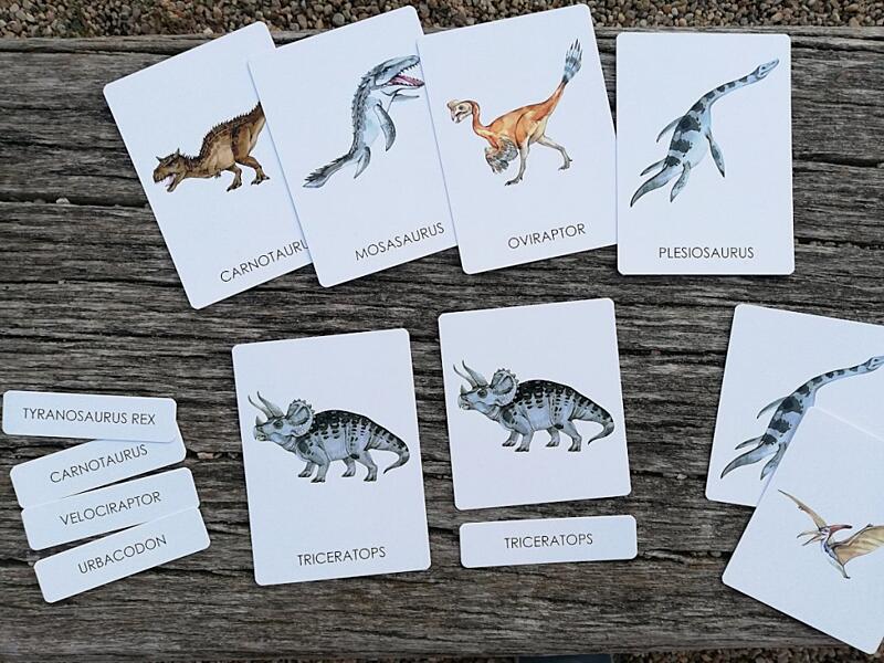 příroda do kapsy třísložkové karty dinosauři 1