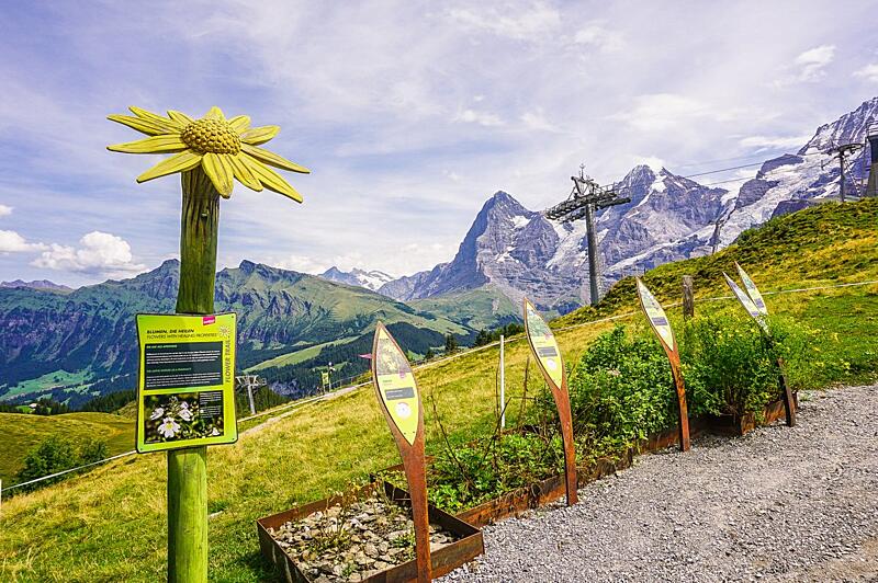 Švýcarsko s dětmi - Allmendhubel Flower Park