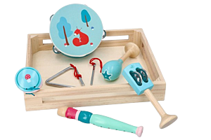 Sada hudebních nástrojů v bedýnce Veverka